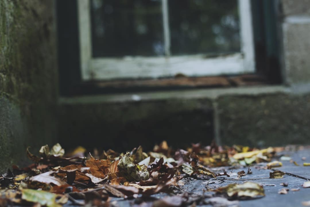 découvrez les saisons tout au long de l'année, avec leurs caractéristiques uniques, les changements de la nature et les activités saisonnières qui vous rapprochent de l'environnement. plongez dans les merveilles de chaque saison!