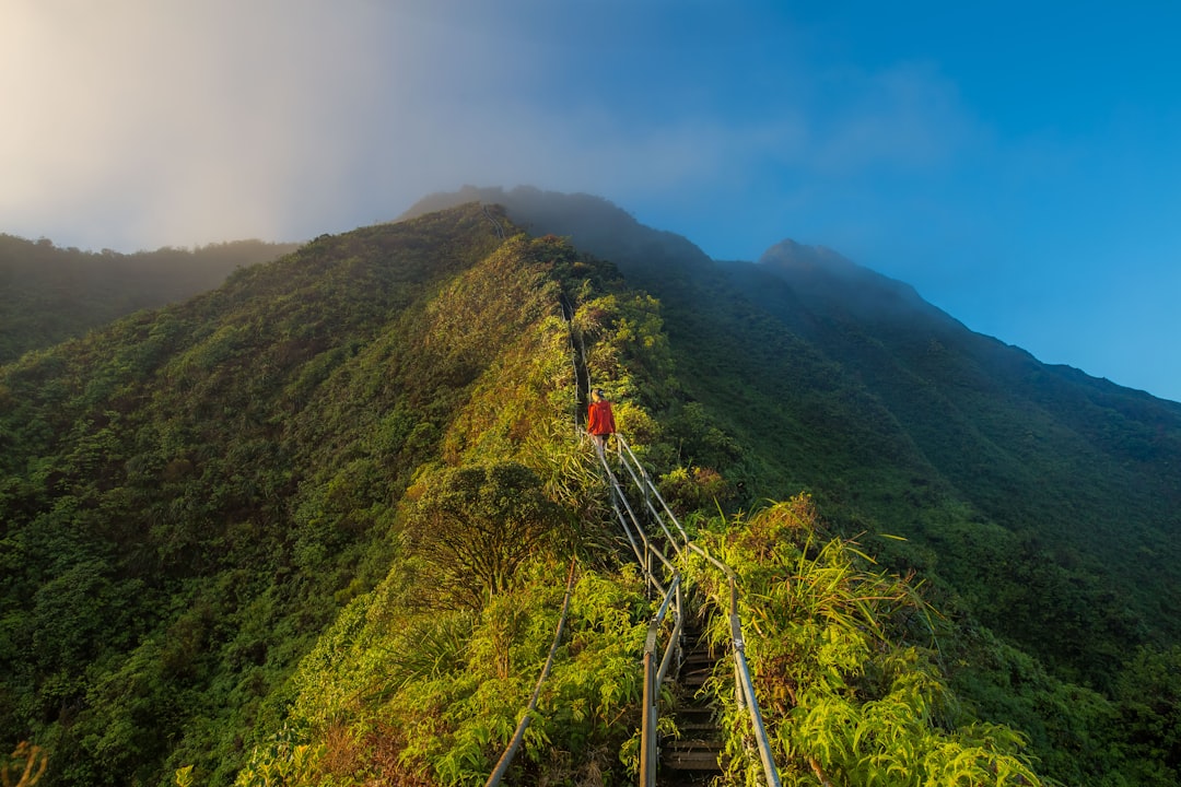 découvrez l'univers passionnant de la randonnée avec nos conseils, itinéraires et astuces pour profiter pleinement de vos excursions en plein air. que vous soyez débutant ou randonneur expérimenté, trouvez l'inspiration pour explorer de nouveaux sentiers et profiter de la nature.