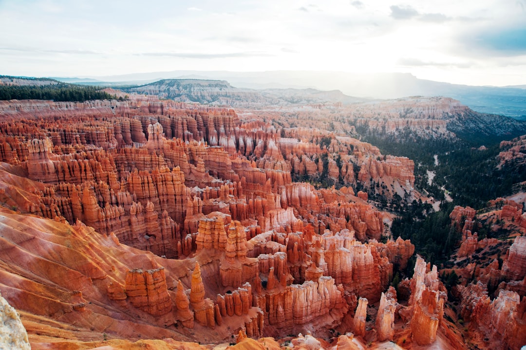 découvrez la beauté exceptionnelle des parcs nationaux, des trésors naturels préservés qui offrent des paysages spectaculaires, une faune diversifiée et des activités en plein air inoubliables. explorez les sentiers, vivez des aventures en famille et connectez-vous avec la nature dans ces destinations incontournables.